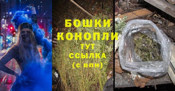 бошки Алексин