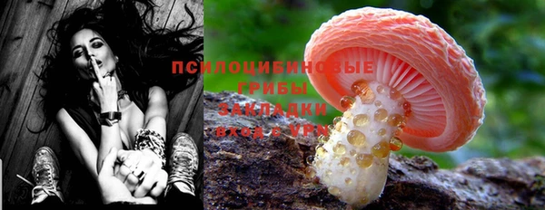 бошки Алексин