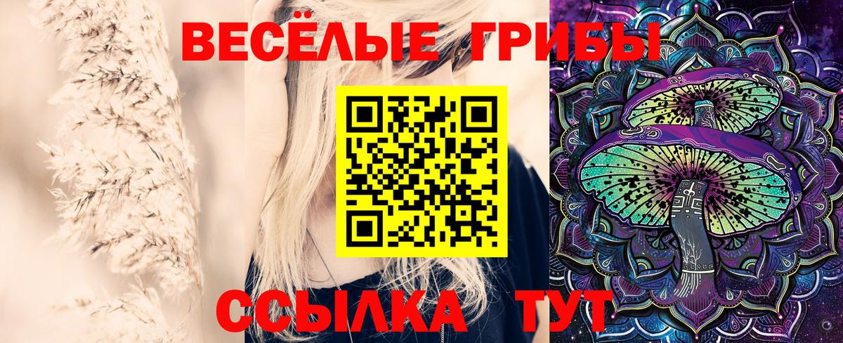 Нальчик  Псилоцибиновые грибы мицелий  закладка  Вход с VPN  Псилоцибиновые грибы мицелий 