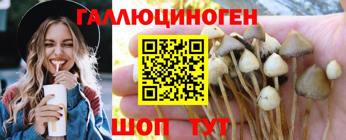 Галлюциногенные грибы MAGIC MUSHROOMS Нальчик